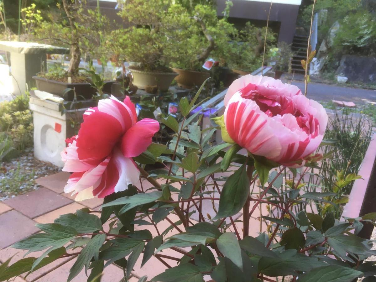 富士河口湖 兰波旅馆酒店 外观 照片